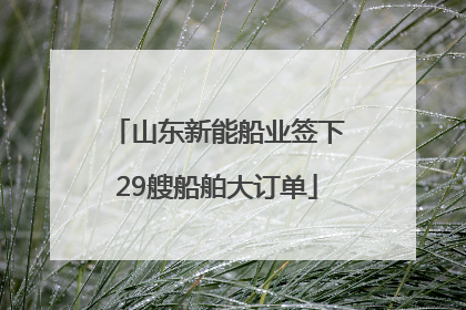 山东新能船业签下29艘船舶大订单